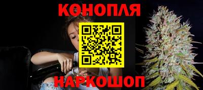 прущий лед Будённовск