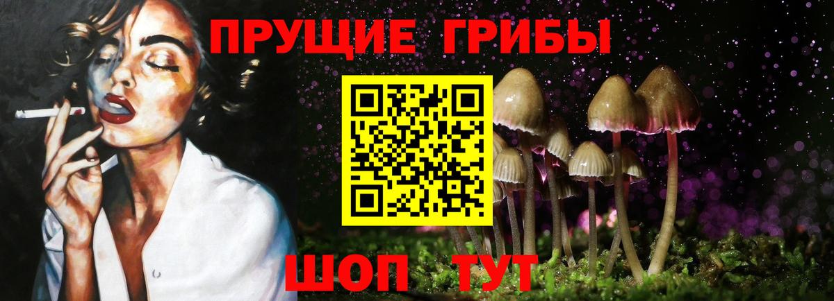 Галлюциногенные грибы MAGIC MUSHROOMS  Вход с VPN  Рубцовск  Псилоцибиновые грибы мицелий 